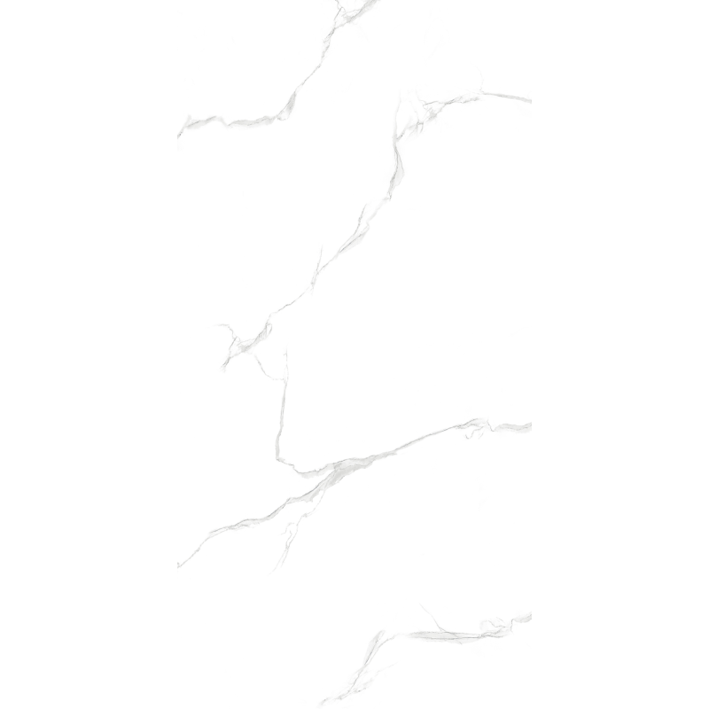 Silver Satvario Glossy - Image 4